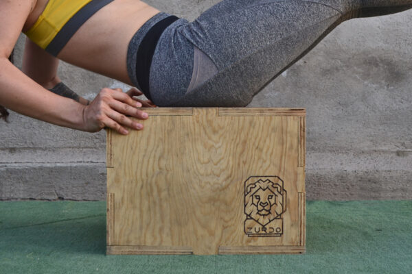 Plyo Box